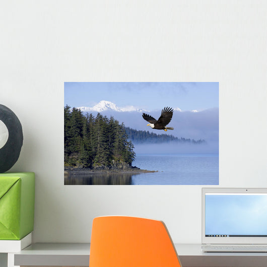 Bald Eagle Wall Mural