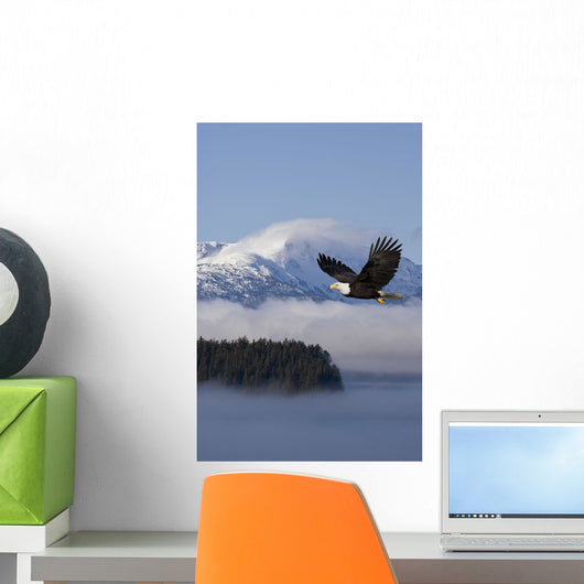 Bald Eagle Wall Mural