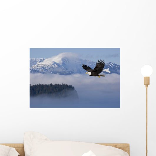 Bald Eagle Wall Mural