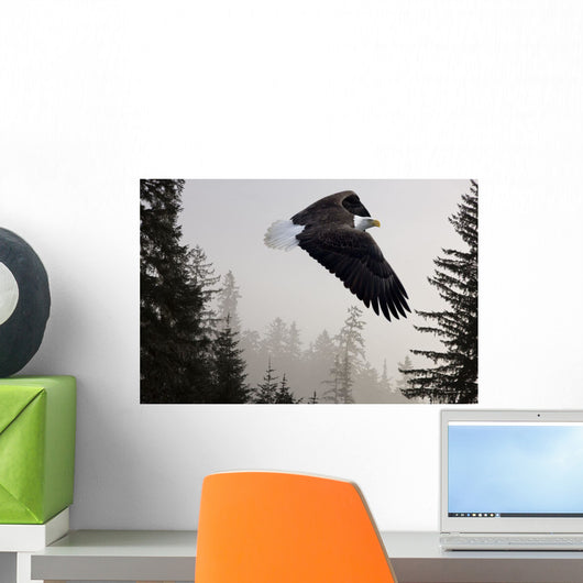 Bald Eagle Soars Through Mist In The Tongass National Forest Wall Mural