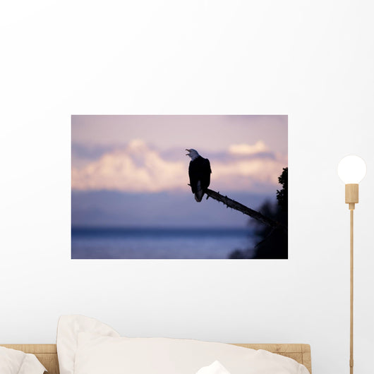 Bald Eagle Perched Wall Mural