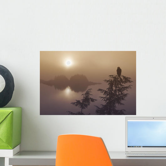 Bald Eagle Perched Wall Mural
