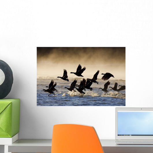Canada Geese Take Flight On A Misty Winter Morning In Sub Zero Temps Wall Mural