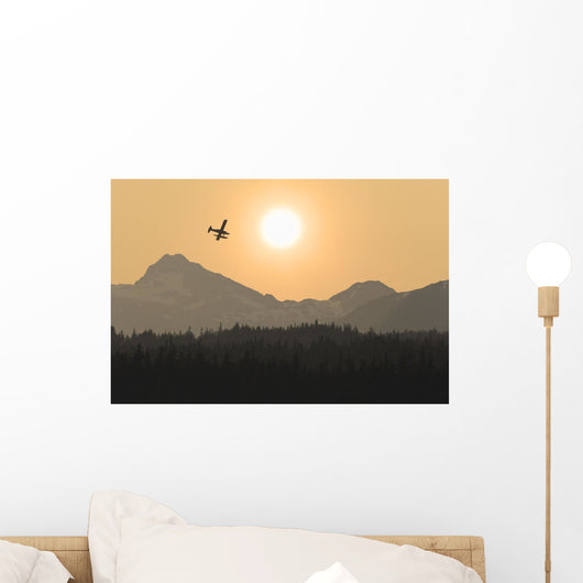 Silhouette Of A Floatplane Wall Mural