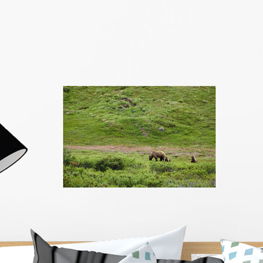 Brown Bear Sow With Two Cubs Wall Mural