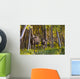 Cow And Calf Moose In Birch Forest Wall Mural