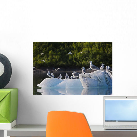Kittiwakes And Seagulls Sitting On An Ice Berg Wall Mural