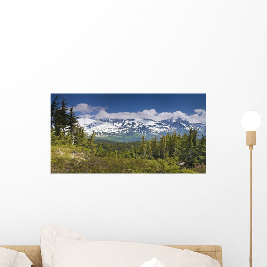 View Of Kenai Mountains From Lost Lake Trail Wall Mural