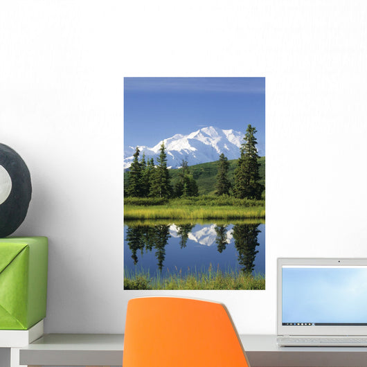 Mt Mckinley Reflecting Wall Mural