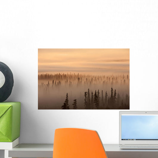 Sunrise Over A Foggy Forest Wall Mural