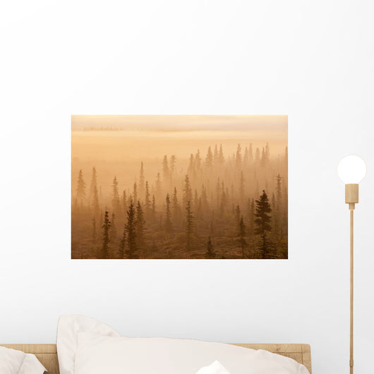 Sunrise Over A Foggy Forest Wall Mural
