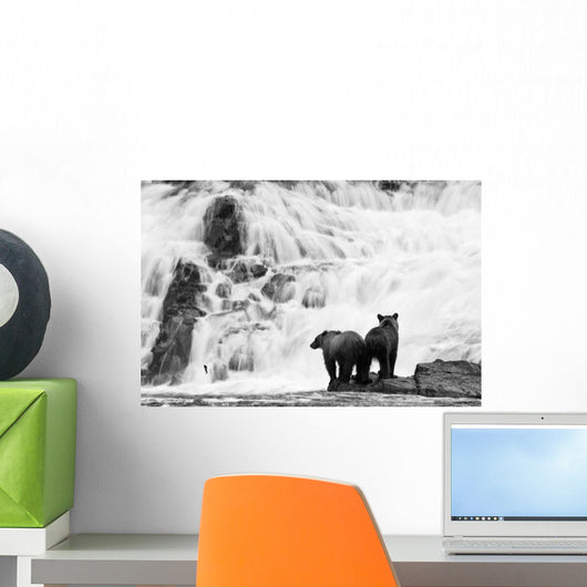 Two Young Brown Bears Fishing For Salmon At The Base Of A Waterfall Wall Mural