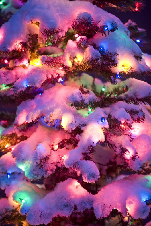 Up Multi-colored Christmas Tree Wall Decal