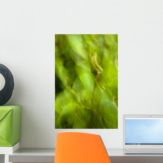 Abstract Of A Young Alder Tree Wall Mural