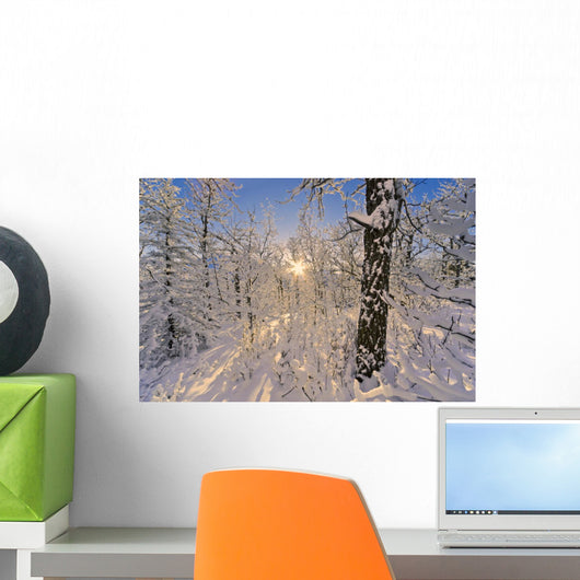 Detail Of Snow Covered Cotttonwoods During Winter In Artic Valley Wall Mural