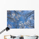 Looking Up Through Hoarfrost Covered Birch Trees In Russian Jack Park Wall Mural