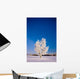Hoarfrost Covered Birch Tree, Winter, Interior Alaska Wall Mural