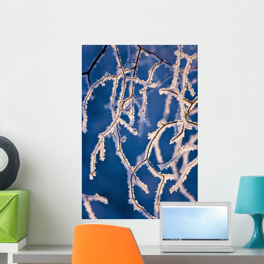 Detail Birch Trees Covered Wall Decal