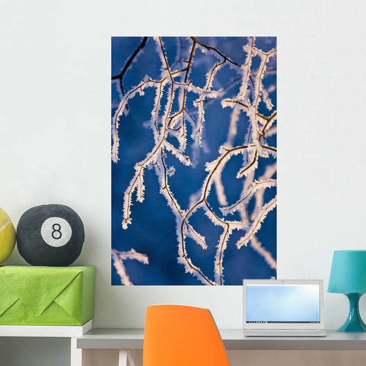 Detail Birch Trees Covered Wall Decal