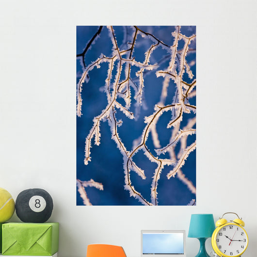 Detail Birch Trees Covered Wall Decal