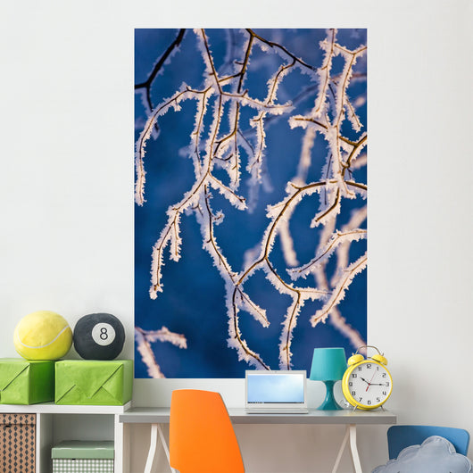 Detail Birch Trees Covered Wall Decal