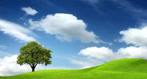 Green Landscape Wall Decal
