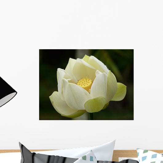 Fleurs Lotus Wall Mural