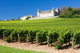 Chateau De Rully With Vineyards Burgundy France Wall Mural