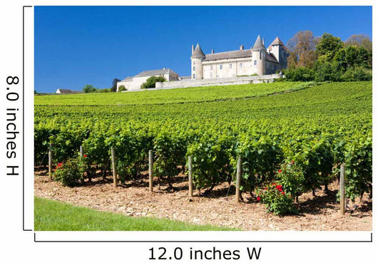Chateau De Rully With Vineyards Burgundy France Wall Mural