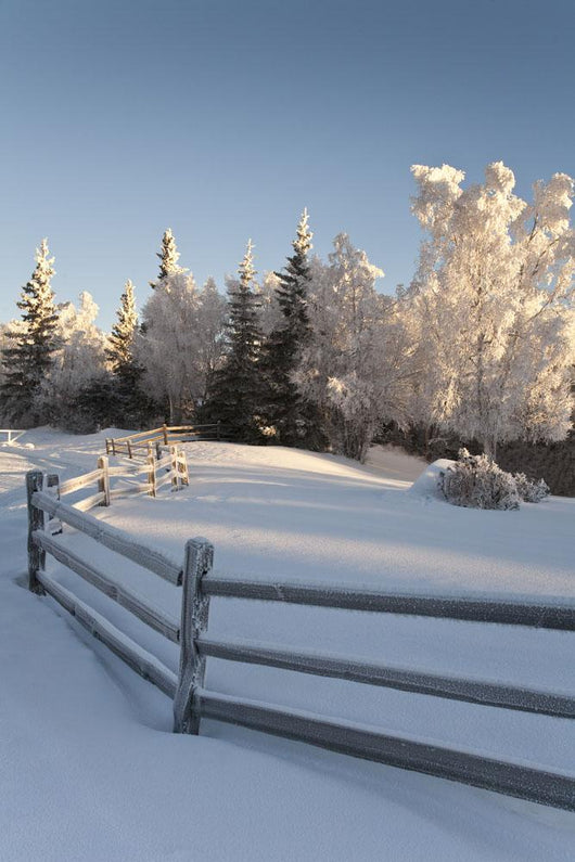 Winter Scenic Split Rail Wall Decal Design 2