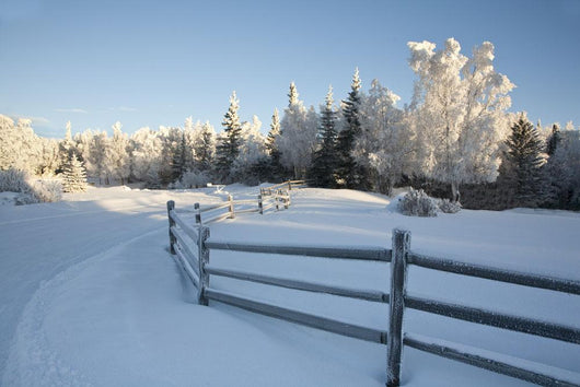 Winter Scenic Split Rail Wall Decal Design 1
