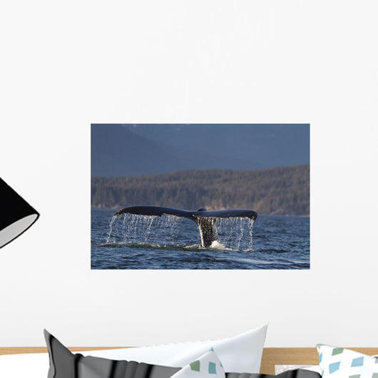Up Humpback Whale Tail Wall Decal Design 4