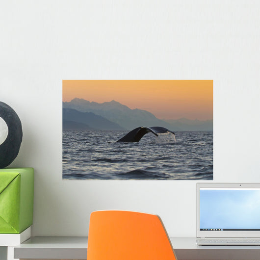 Up Humpback Whale Tail Wall Decal Design 1