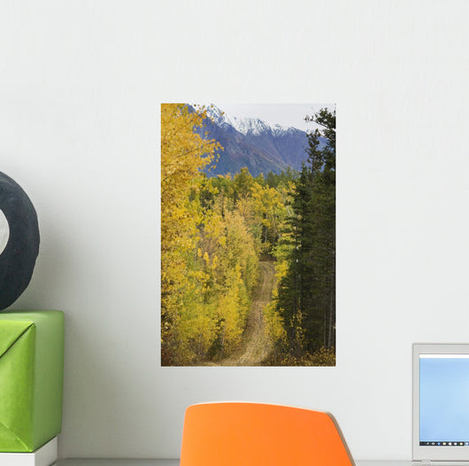 Chugach Mountains from Crevasse Wall Decal