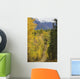 Chugach Mountains from Crevasse Wall Decal