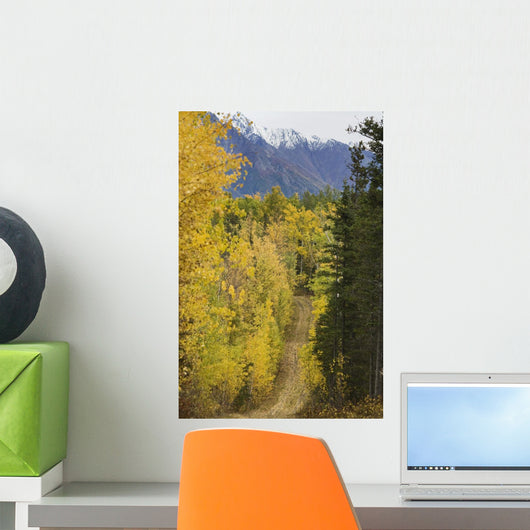 Chugach Mountains from Crevasse Wall Decal