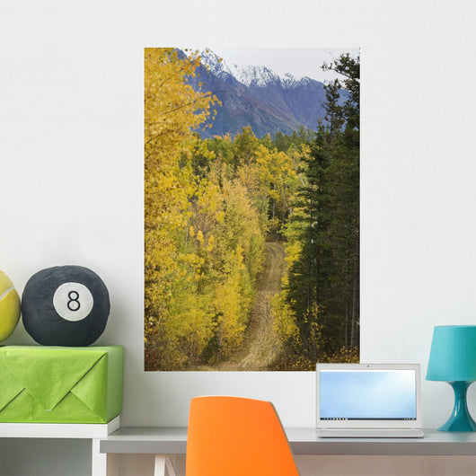Chugach Mountains from Crevasse Wall Decal