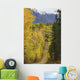 Chugach Mountains from Crevasse Wall Decal