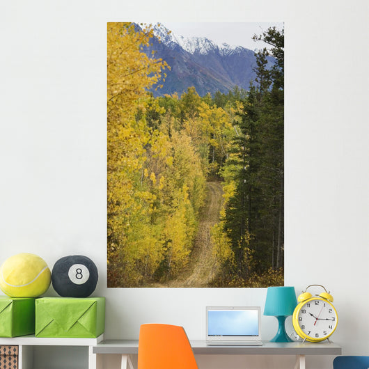 Chugach Mountains from Crevasse Wall Decal