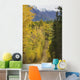 Chugach Mountains from Crevasse Wall Decal