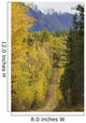Chugach Mountains from Crevasse Wall Decal