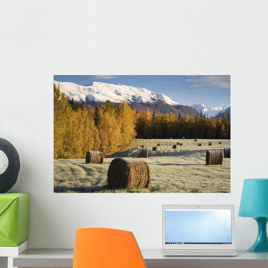Sunrise over Field Farmer's Wall Decal
