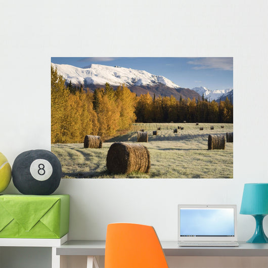 Sunrise over Field Farmer's Wall Decal
