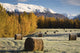 Sunrise over Field Farmer's Wall Decal