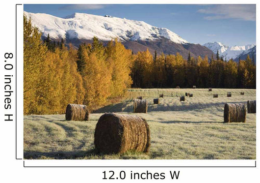Sunrise over Field Farmer's Wall Decal