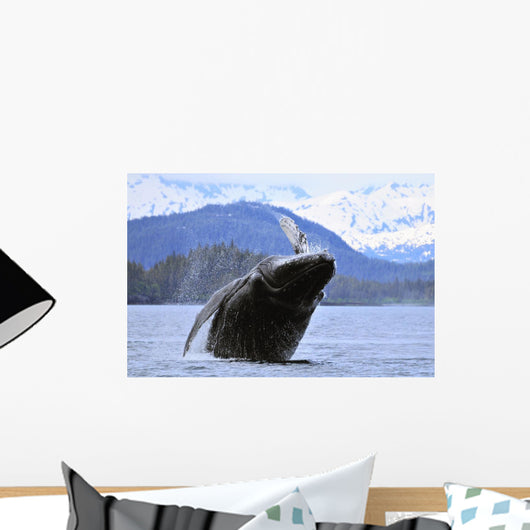 Humpback Wale Breaching Prince Wall Decal