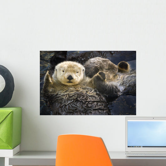Captive Two Sea Otters Wall Decal
