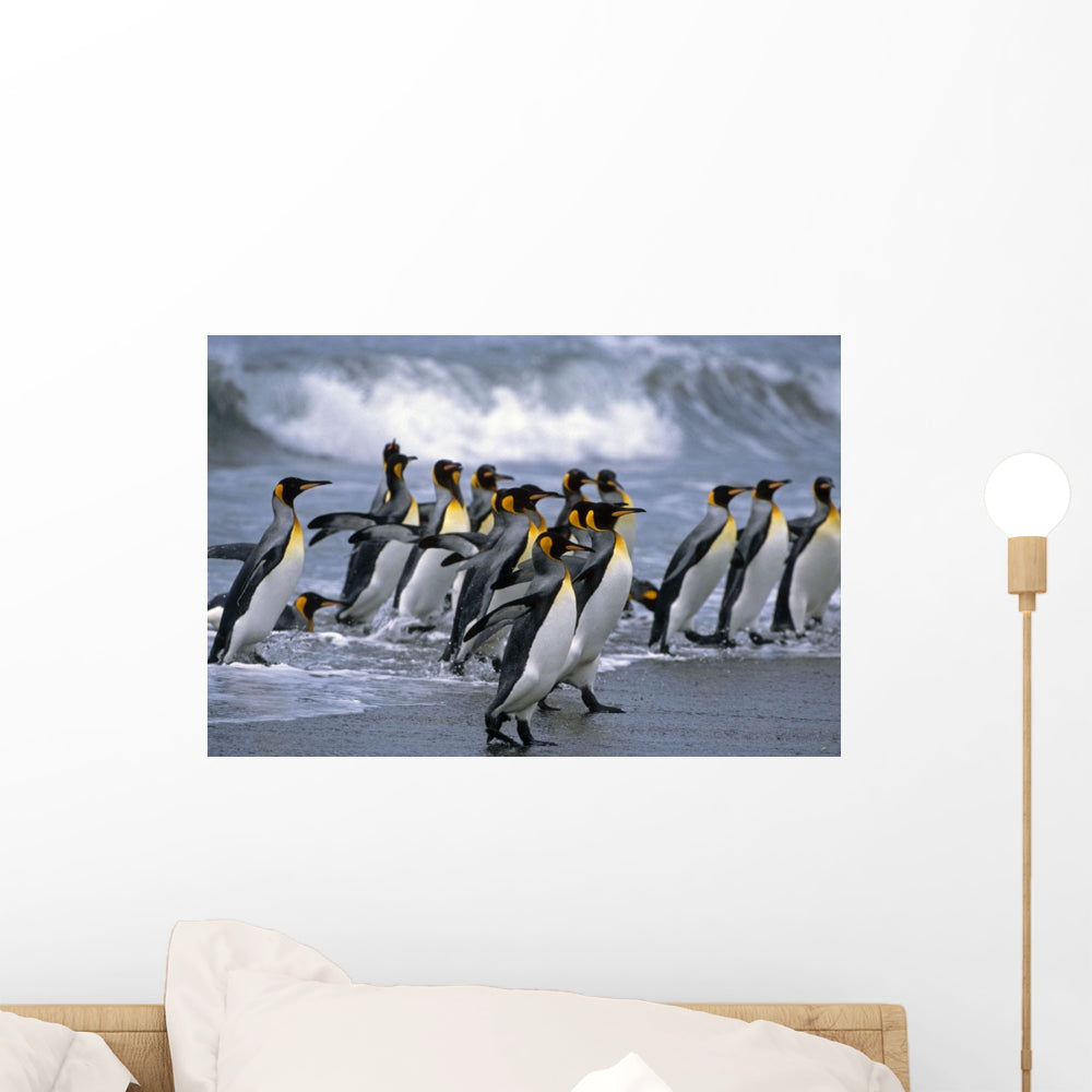Group King Penguins Walking Wall Decal - WallMonkeys.com – Wallmonkeys