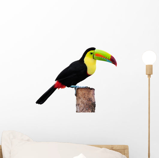 Keel Billed Toucan From Central America Wall Decal