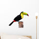 Keel Billed Toucan From Central America Wall Decal
